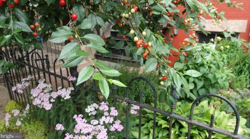 506 13th St, Washington, DC 20002-6330