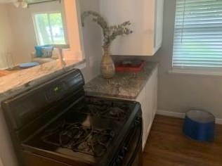 3842 Eaton Dr, Dallas TX  75220-5054 exterior