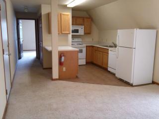 1021 Mission St, Mount Pleasant MI  48858-3549 exterior