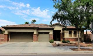 294 Seagull Pl, Chandler, AZ 85286-7775