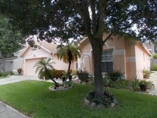 8824 Cypress Hammock Dr, Tampa FL  33614-8100 exterior