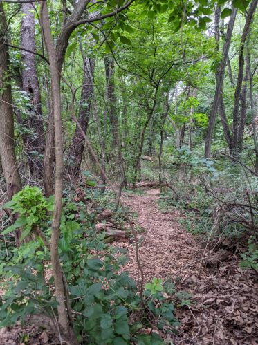 5536 Mount Vernon Ave, Kalamazoo MI  49024-1215 exterior