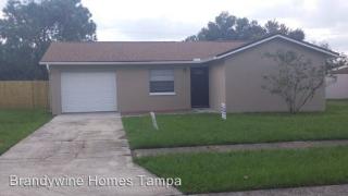 14024 Arbor Knoll Cir, Tampa FL  33625-6444 exterior
