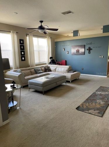 6224 Crickethollow Dr, Riverview FL 33578-3919 exterior