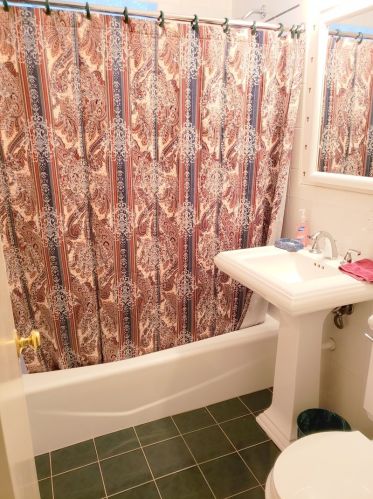 372 Fremont Ave, Elmhurst IL 60126-2253 exterior