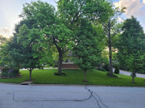 1 Crabapple Ct, Saint Louis MO 63132-3422 exterior