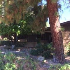 910 El Caminito Dr, Phoenix AZ  85020-3461 exterior