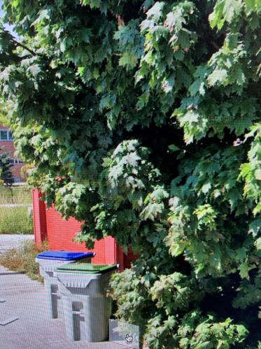 4235 29 St, Milwaukee WI 53208-4206 exterior