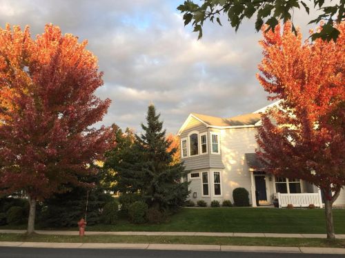 2198 Shamrock Pl, Chaska MN 55318-5405 exterior