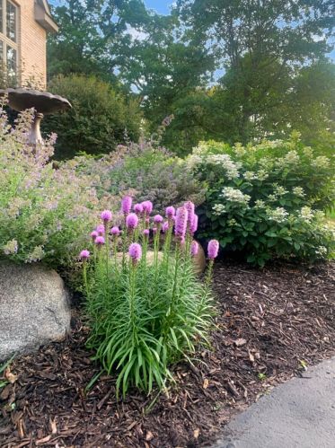 11020 Alameda Ave, South Saint Paul MN 55077-5439 exterior