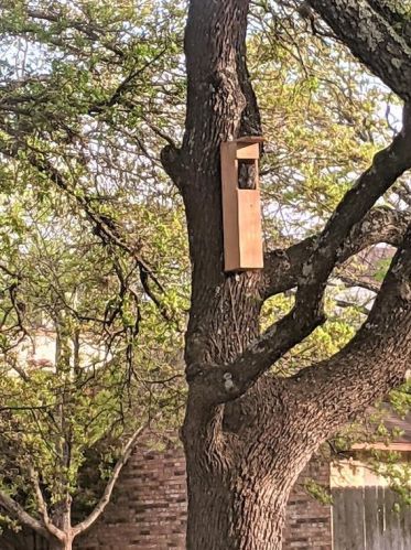 8409 Adirondack Trl, Austin TX 78759-7935 exterior