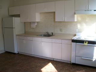 816 Warnock St, Philadelphia PA  19147-1971 exterior