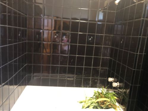 1244 18th St, Chicago IL  60608-3248 exterior