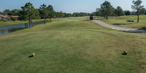 11572 Misty Isle Ln, Riverview FL 33579-9704 exterior