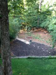 1335 Briarwood Dr, Atlanta GA  30306-2568 exterior