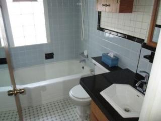 15513 Lexington, Detroit MI  48239-3912 exterior