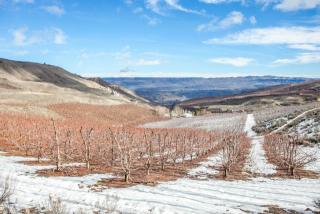 4278 Stemilt Creek Rd, Wenatchee, WA 98801-8935