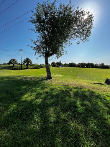 6544 Alemendra, Fort Pierce FL 34951-4315 exterior