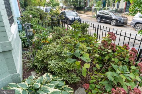 1357 Emerald St, Washington DC 20002-5431 exterior