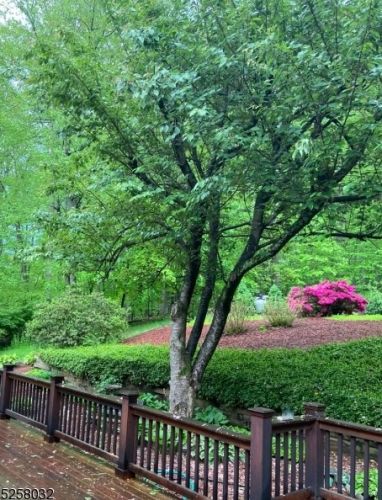 28 Chester Woods Dr, Chester NJ  07930-2828 exterior