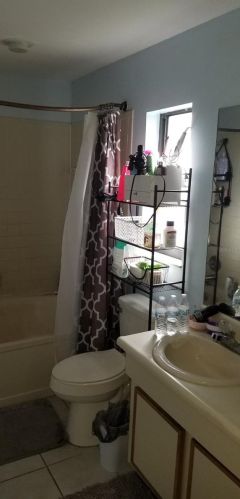 11728 Lynmoor Dr, Riverview FL 33579-0070 exterior