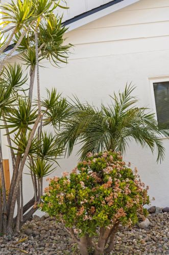 829 Halecrest Dr, Chula Vista, CA 91910-6412