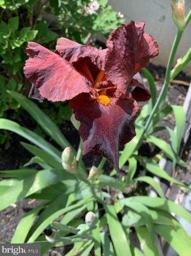 50 Steeplechase Cir, Chester PA 19014-1463 exterior