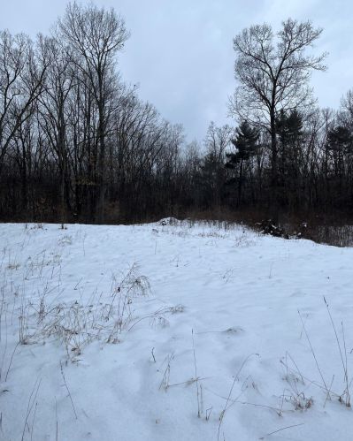 1120 37th St, Allegan MI 49010-8308 exterior