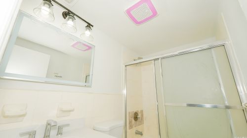 817 170th St, Bronx NY 10452-7013 exterior