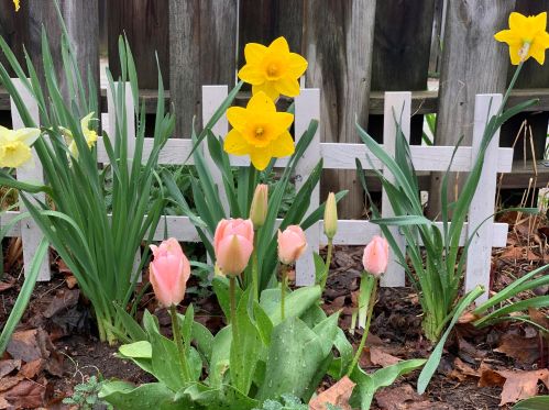 1618 16 St, Manitowoc WI 54220-6124 exterior