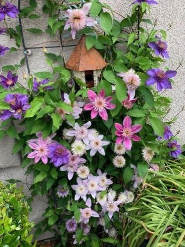 4054 Borders Dr, Folsom CA 95762-5415 exterior