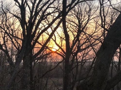 2041 Alta Vis Dr, Waukegan IL 60087-4058 exterior