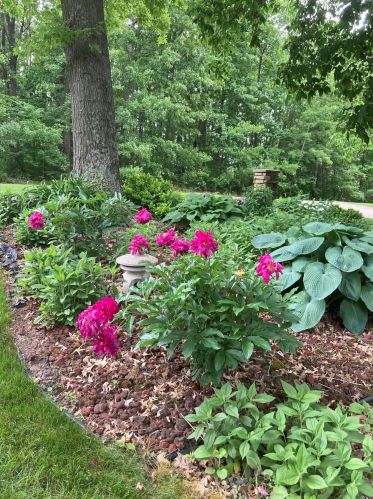 1811 Starr View Ln, Middlevle MI  49333-8066 exterior