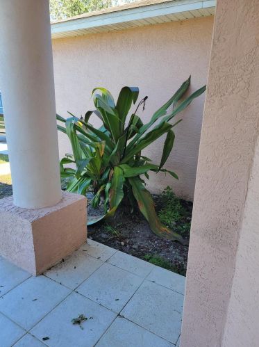 810 General Patton Ter, Fort Pierce FL  34953-2658 exterior