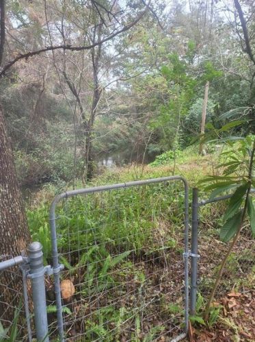 501 Grove Ct, Altamonte Springs FL 32714-1436 exterior