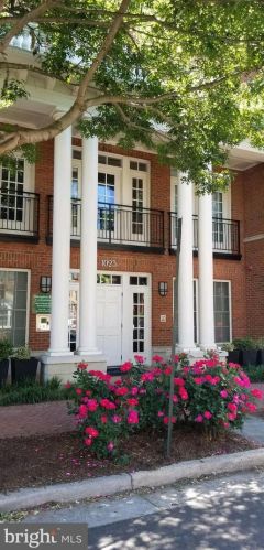 1023 Royal St, Alexandria VA  22314-1570 exterior