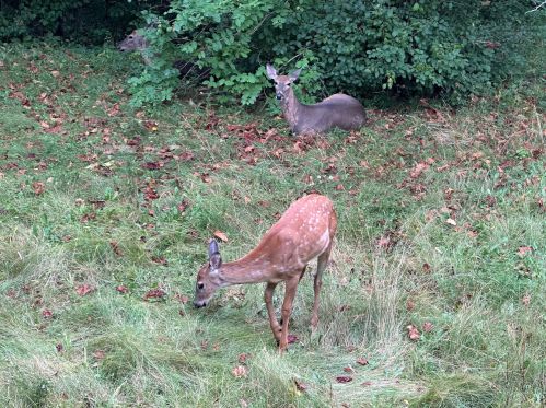 4870 37th St, Milwaukee WI  53221-2570 exterior