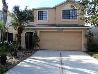 27200 Big Sur Dr, Zephyrhills FL  33544-6656 exterior