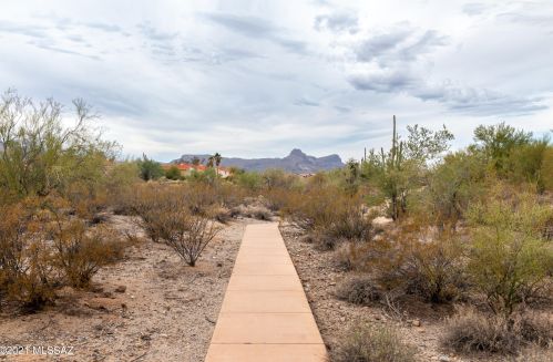 9558 Marsh Wren Pl, Tucson AZ 85742-8455 exterior