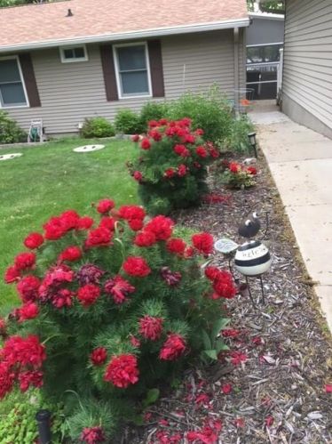 20947 Elkview Cir, Richmond MN 56368-7300 exterior