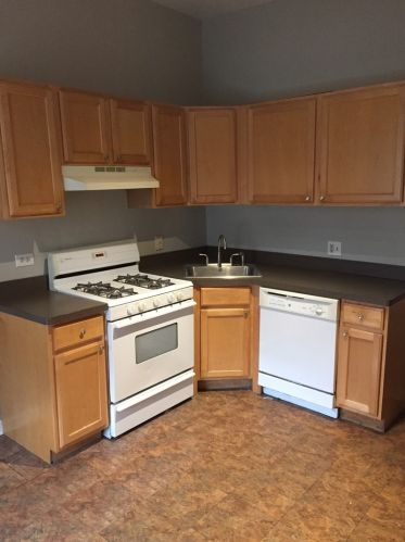 1029 Wolfram St, Chicago IL 60657-4329 exterior