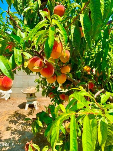 1540 Joanne Ct, Oxnard CA exterior