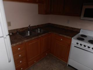 4501 Rushmore Dr, Cedar Rapids IA  52402-3030 exterior