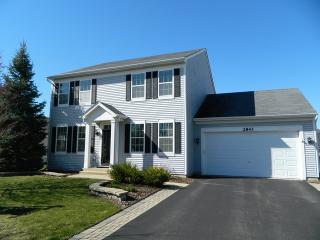 2843 Grand Ridge Cir, Aurora IL  60503-5420 exterior