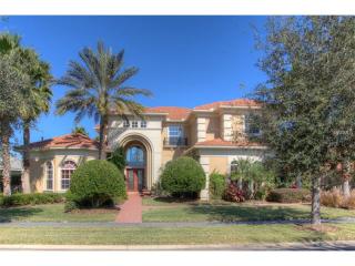 17229 Emerald Chase Dr, Tampa, FL 33647-2784