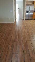 1123 Conch Ct, Zephyrhills FL  33544-6603 exterior