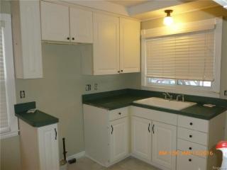 9696 Lenore, Detroit MI  48239-1687 exterior