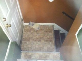 6255 Ashton Ave, Detroit MI  48228-3835 exterior