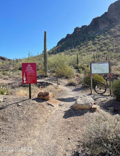 2240 Lone Star Pl, Tucson AZ  85713-6732 exterior