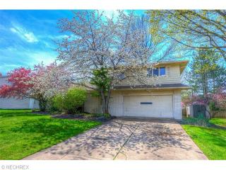 1906 Camberly Dr, Cleveland, OH 44124-3734